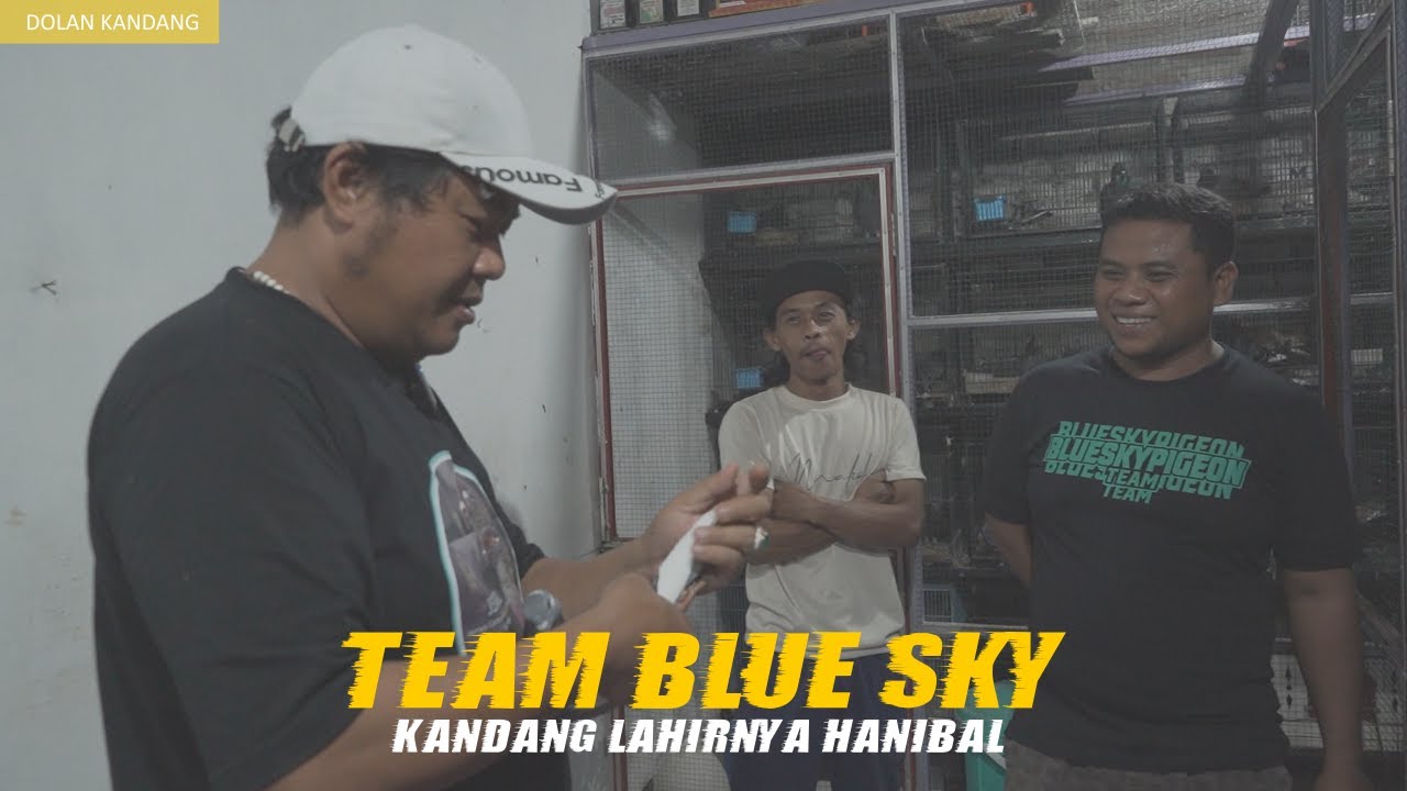 DOLAN KANDANG TEAM BLUESKY TEGAL | KANDANG SEDERHANA LAHIRNYA HANIBAL