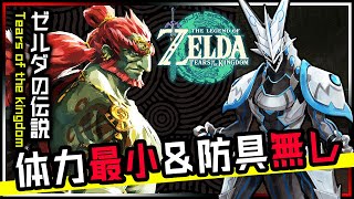 🚧最小HP・防具縛り🚧【ゼルダの伝説TotK | Day15】コログも祠もコンプ目指して！ハートも防具もないけどしっかりラスボスまで攻略したいティアーズオブザキングダム実況配信【Vtuber】