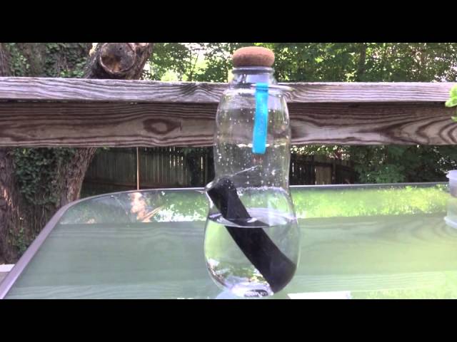 Black+Blum, Glass Water Bottle, Black and Blum