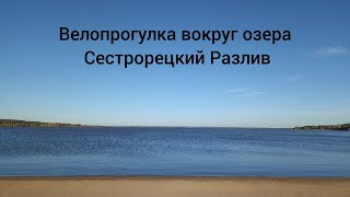 Велопрогулка вокруг озера Сестрорецкий Разлив