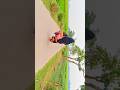 গ্রাম ছাড়া অই রাঙা মাটির পথ 😍 #গ্রাম #ytshorts #youtubeshorts #shorts #village #viral