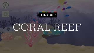 Coral Reef by Tinybop app trailer screenshot 5