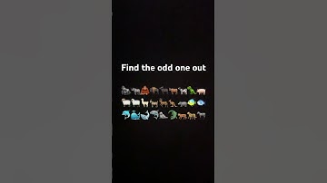 Find the odd one out (animals)