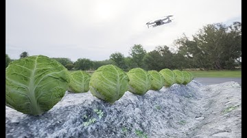 Компьютерное зрение(CV) - для агромониторинга на базе YOLOv8