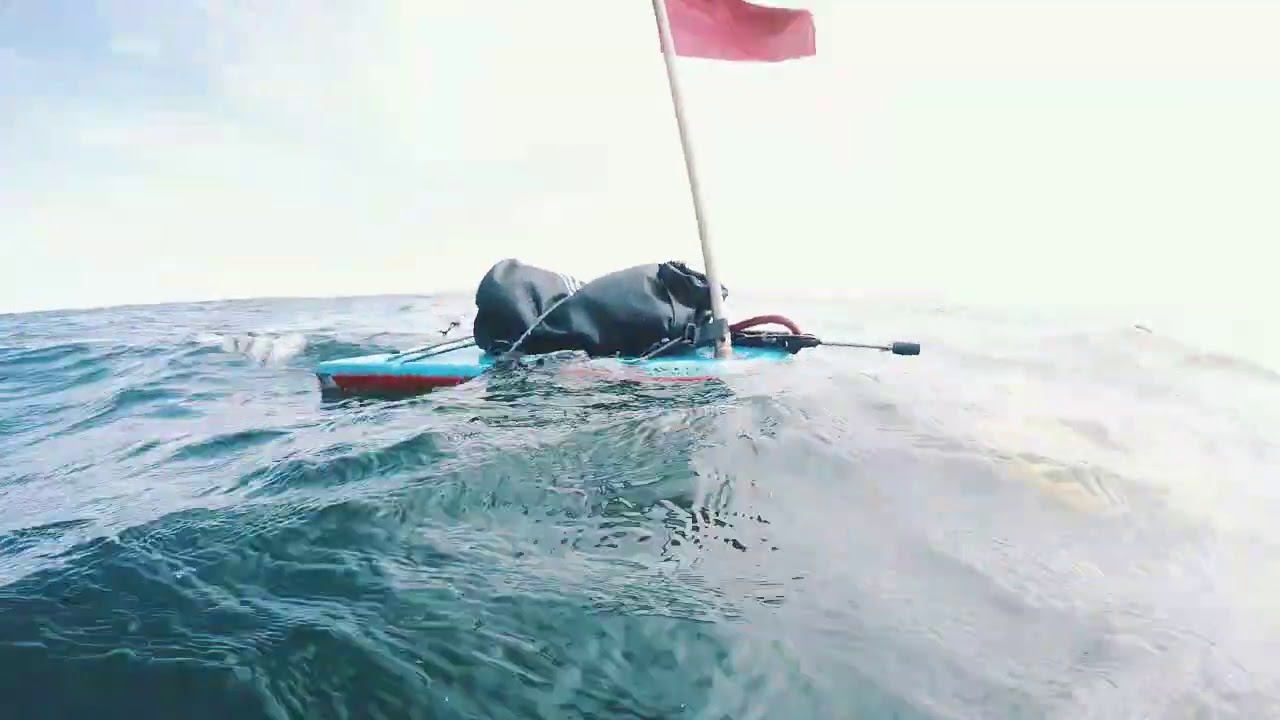 pesca submarina Spearfishing pesca sub Farol da Barra SalvadorBA