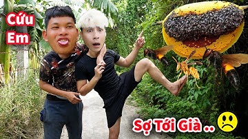 Hậu Cáo - Rủ Em Trai Bắt Ong Và Cái Kết Cực Hài || Hậu Cáo Săn Ong