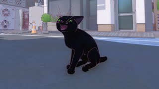 Блэк Кити в Биг Сити  😼 image