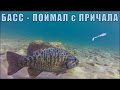 Рыбалка с Причала Поймал Огромного Басса (Bass Lake Fishing from Dock)