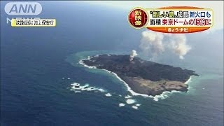 まだ成長中"新しい島"東京ドーム15倍の大きさに(14/03/25)
