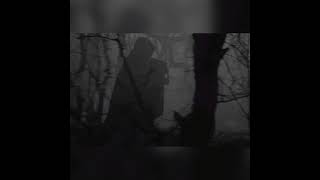 Nyktalgia - Peisithanatos