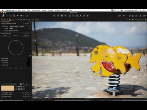 Capture One Pro 10 Webinar | Working with Colour - Capture One Pro 10 Webinar | Working with Colour