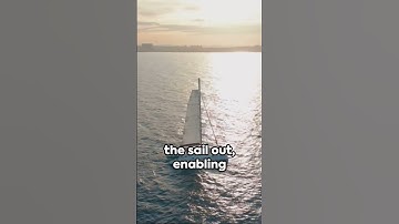 Mastering the Main Sheet  Hobie 16 Catamaran #sailing #boating #shorts