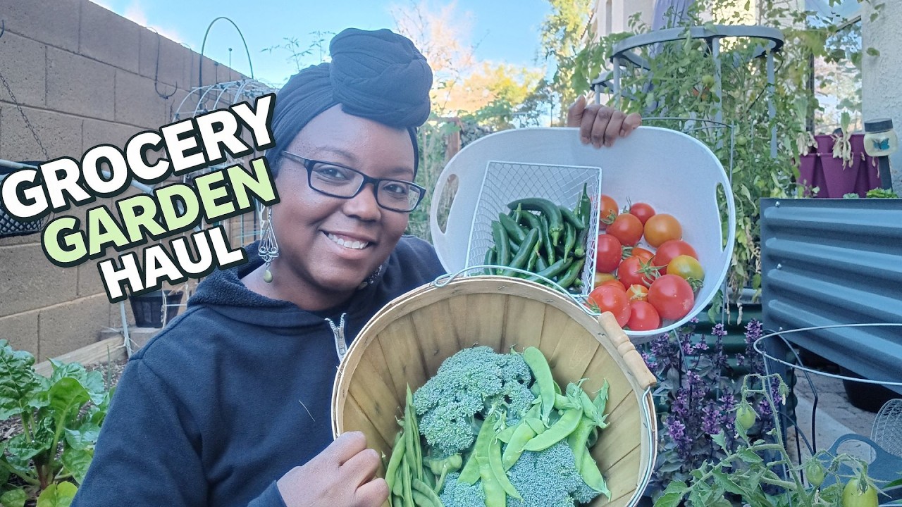 Покупка продуктов для огорода - урожай с небольшого участка