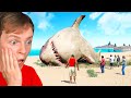 The MEGALODON SHARK In GTA 5 Find Catch It The MEGALODON SHARK In GTA 5 Find Catch It
