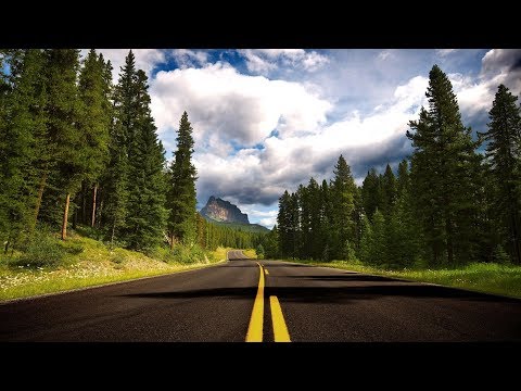 Los Piojos - Vine Hasta Aquí | Lyrics/Letra (English/Español | Toro