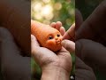 The Glowing Orange Canyon! 🥕💎  #asmr #oddlysatisfying #viral #eating #fruit #food #satisfying #cute