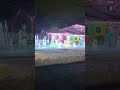 Dec 24th 2024 pretty lights in my neighborhood