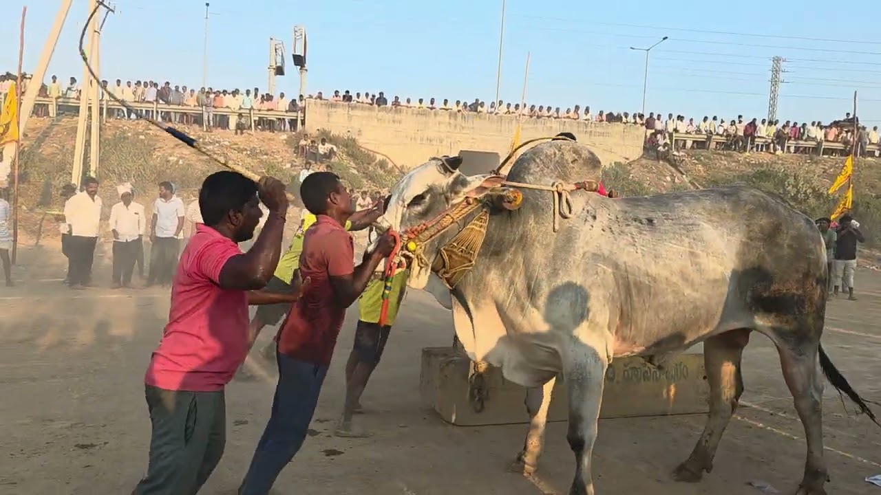 Arunachalam and munna combined in kaluvabugga won 7th place