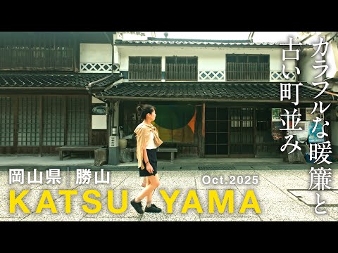 【岡山県・勝山町】カラフルな暖簾と古い町並みが残る保存地区を歩く｜岡山グルメと古民家カフェでレモンコーヒーを堪能した旅