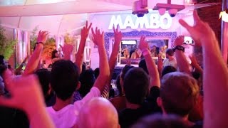20 Years of Cafe Mambo - The Future
