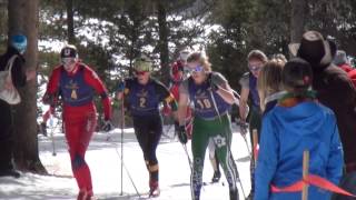 Annie Hart For American Birkebeiner Ski Foundation