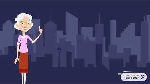 Objective & Scope of financial statement audit 2