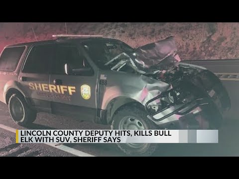 Deputy hits and kills bull elk in Lincoln County, New Mexico