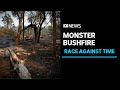 Catastrophic fire danger looms in victoria as bushfire continues to burn  abc news