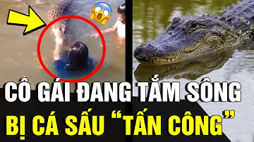 Cùng bạn 