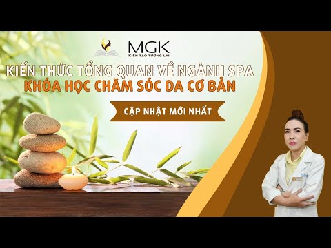 Nhập Môn Chăm Sóc Da Cơ Bản ✍️Tổng Quan Về Ngành Spa