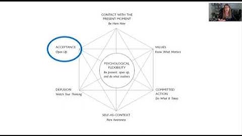 ACT: Acceptance & Commitment Therapy Overview for Therapists