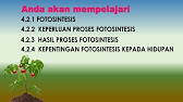 Sains Tahun 4 Fotosintesis Cikgootube Cikguzoul Youtube