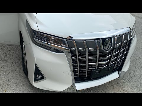 Русификация  Japan Toyota Alphard 2021 GEN10