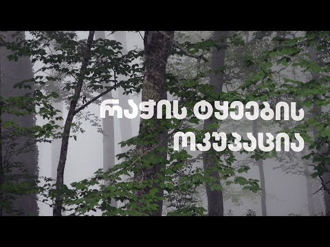 რაჭის ტყეების ოკუპაცია