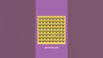 Can You Spot the Odd One Out? | Hidden Object Puzzle Challenge! #shorts