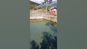 SUỐI NƯỚC NÓNG LAI CHÂU