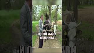 Село Гиновци