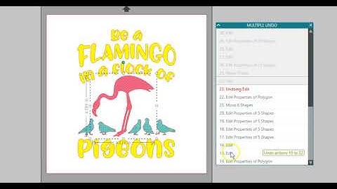 Multiple Undo feature in V4.1 of Silhouette Studio® (Business Edition)