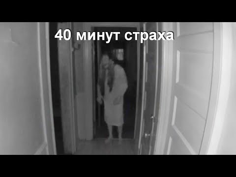 40 минут ужаса! Загадочные существа лучшее, большой выпуск