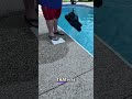 This Pool Cleaner MISSES a Key Feature!