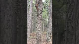 Ankaraya Sadece 1 Saat Onlarca Tracking Ve Hiking Rotası Ile Soğuksu, Kızılcahamam, Ankara.