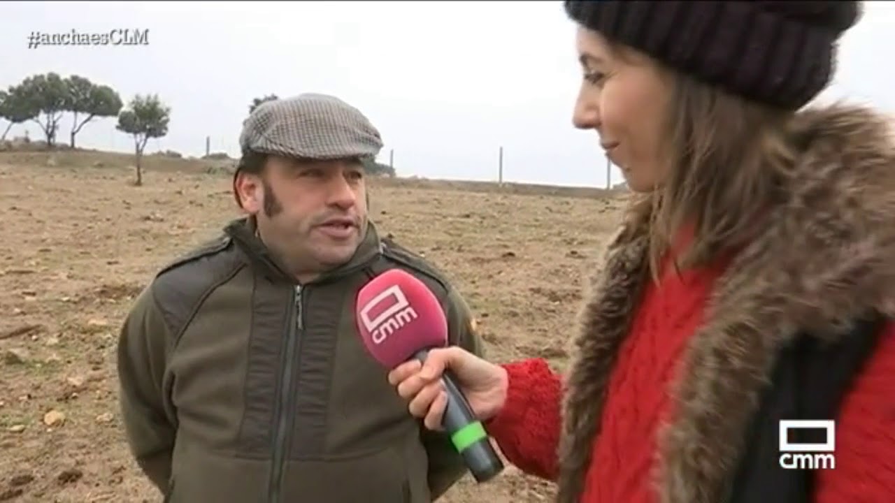 Conocemos a Francisco Camino, criador de toros de lidia.