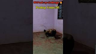 50 Push up challenge 🔥#desihomegym #motivation #aestheic #bodybuilding #desihomegym #motivation