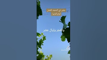 والفجر وليال عشر والشفع والوتر قران كريم بصوت جميل