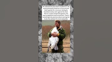 Man Rescues Trapped Swan