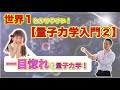 【世界一わかりやすい！】【量子力学入門】②「一目惚れも量子力学！」「見える！『開華』メルマガ」