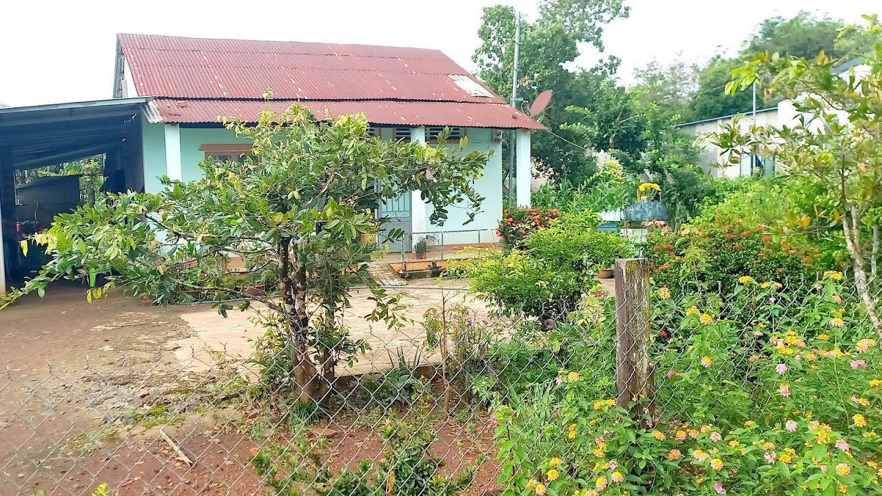 Bán nhà vườn trái cây, ao cá,, sẵn 150m² thổ cư. View cách đồng, =S 3724,0m², giá 950tr bs