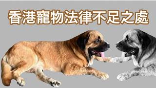 260820【鴻綠燈】EP1302潘焯鴻 | 藏獒飼主被控危險狗隻條例或加控 獒犬與其他熱門大型寵物犬生活性格特徵截然不同 | 法例未完善 飼主責任急需改善
