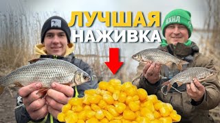 🛑 СЕКРЕТ на ПЛОТВУ❗️Вся РЫБА 👉 ТУТ!  Море ПЛОТВЫ на фидер 🤯 Ключ к успеху Рыбалка 2024