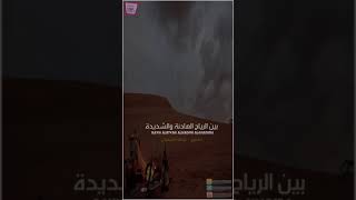 (عود) بين الرياح الهادئة والشديدة